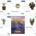 01 Promoções-Descontos-44561.jpg